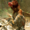 🐔 What happened with my project on the Rinha de Backend challenge